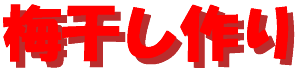 umeboshi_dukuri-logo.gif (3062 バイト)