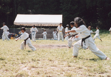 2002.8.25.moe-karate3.jpg (58542 oCg)