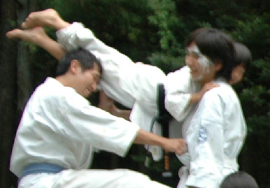 2005.8.28.karate_gassyuku21.jpg (45189 oCg)