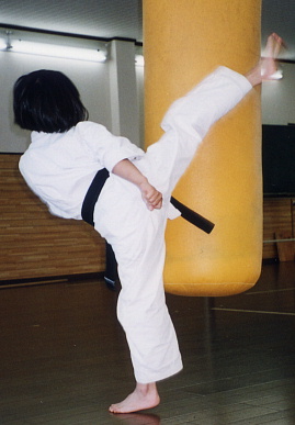 2003.6.8.karate5.jpg (42221 oCg)