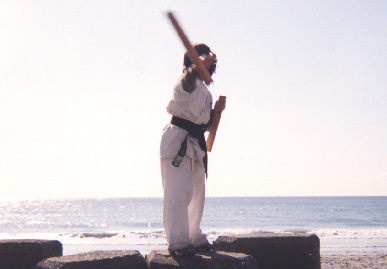 2004.2.8.karate_kanchuugeiko10.jpg (32532 oCg)
