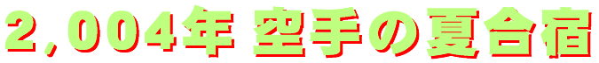 2004gassyuku-logo.gif (5241 oCg)