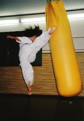 2005.6.24.moe_karate3.jpg (46620 oCg)
